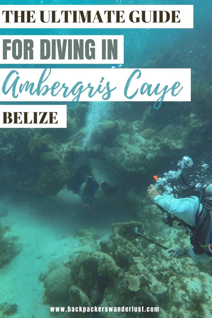 If you are a keen scuba diver and are traveling Belize then you need to try diving in Ambergris Caye. This incredible spot on the Mesoamerican Reef is full of marine life waiting to be discovered by you!