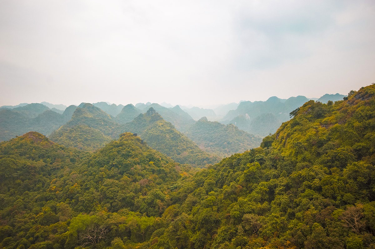 Discover Lan Ha Bay | Cheap Ha Long Bay Cruise | Cat Ba Island | Adventure | Backpack South East Asia | Travel | Backpacking | Must Visit | Do Not Miss | Vietnam | Ha Long Bay Cruise | Cat Ba Island | Cat Ong Island | Ocean Tours | Adventure | Photography | Backpackers Wanderlust | #vietnam #halongbay #cocktailcruise #hanoi #budgetcruisehalongbay #backpacksoutheastasia #catbaisland #catongisland
