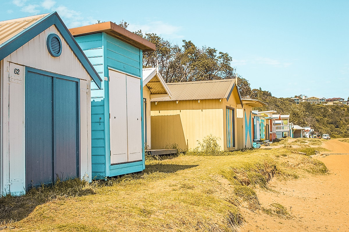 A Day Trip To The Mornington Peninsula From Melbourne, Australia | Animal Sanctuary | Mt Martha Beach | Melbourne Beach | Beautiful photos | travel blog | Day Trip from Melbourne | Australia Day trips | Australia beaches | Koala | Backpackers Wanderlust |