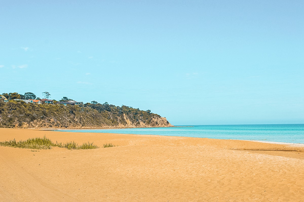 A Day Trip To The Mornington Peninsula From Melbourne, Australia | Animal Sanctuary | Mt Martha Beach | Melbourne Beach | Beautiful photos | travel blog | Day Trip from Melbourne | Australia Day trips | Australia beaches | Koala | Backpackers Wanderlust |