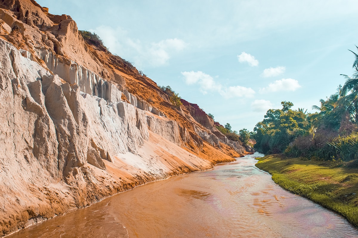 fairy stream with grass in mui ne