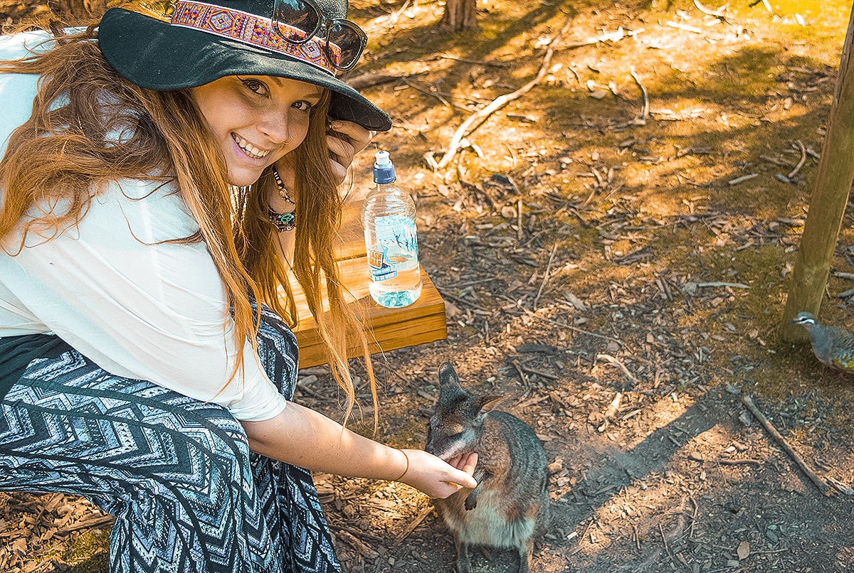 A Day Trip To The Mornington Peninsula From Melbourne, Australia | Animal Sanctuary | Mt Martha Beach | Melbourne Beach | Beautiful photos | travel blog | Day Trip from Melbourne | Australia Day trips | Australia beaches | Koala | Backpackers Wanderlust |