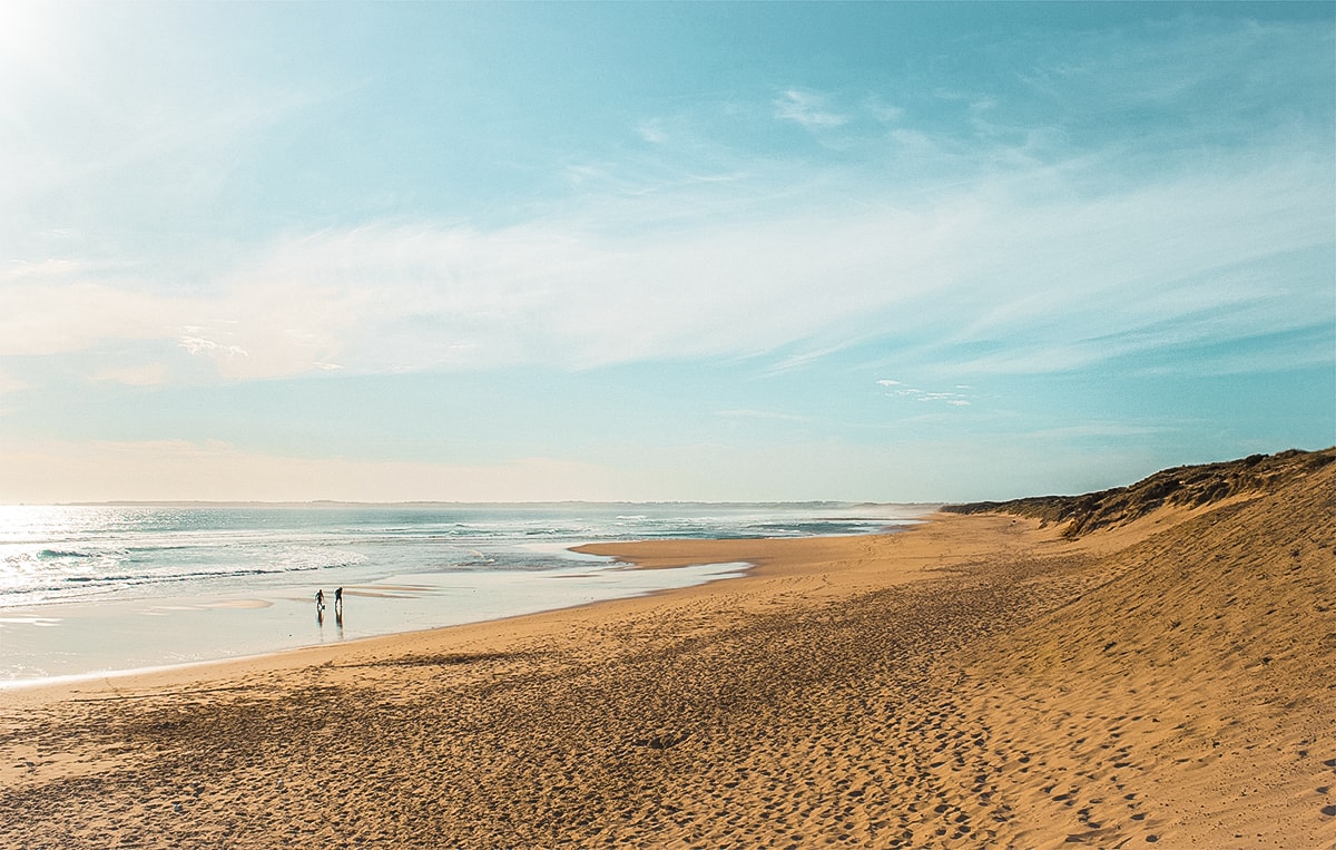 A Day Trip To Phillip Island in Melbourne, Australia | What to do in Phillip Island | Where to eat | Day trip from Melbourne | Backpack Melbourne | Travel Australia | Penguin parade | Penguin |Australia beaches | Melbourne tours | Backpackers Wanderlust |