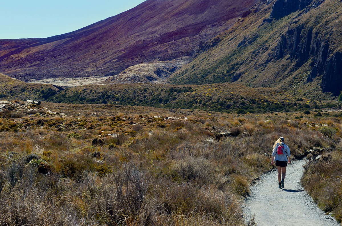 Tongariro crossing walking