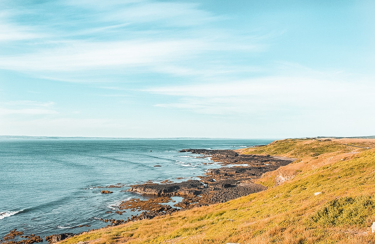 A Day Trip To Phillip Island in Melbourne, Australia | What to do in Phillip Island | Where to eat | Day trip from Melbourne | Backpack Melbourne | Travel Australia | Penguin parade | Penguin |Australia beaches | Melbourne tours | Backpackers Wanderlust |