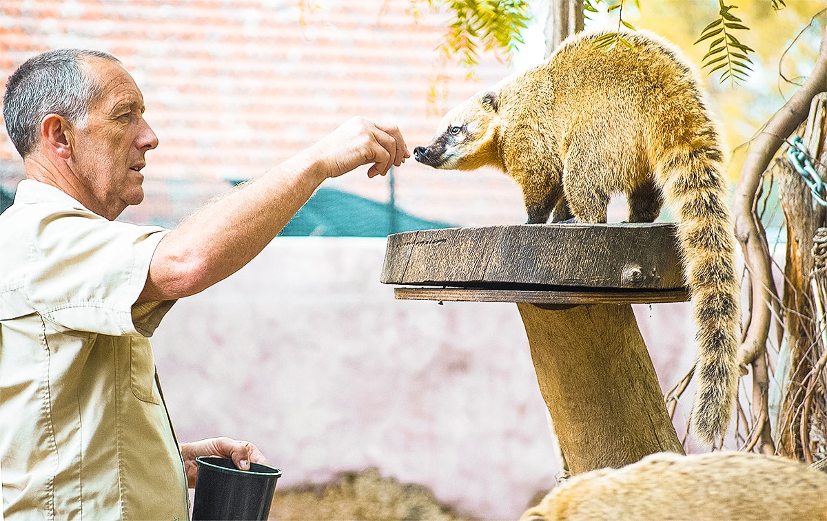 A Day Exploring Melbourne Zoo | Australia's native animals| Backpacking Australia | Traveling Melbourne| What to do Melbourne | Koalas | How to get to Melbourne Zoo | Backpackers Wanderlust