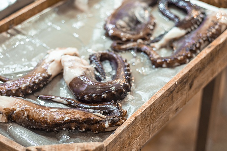 octopus for sale in athens central market
