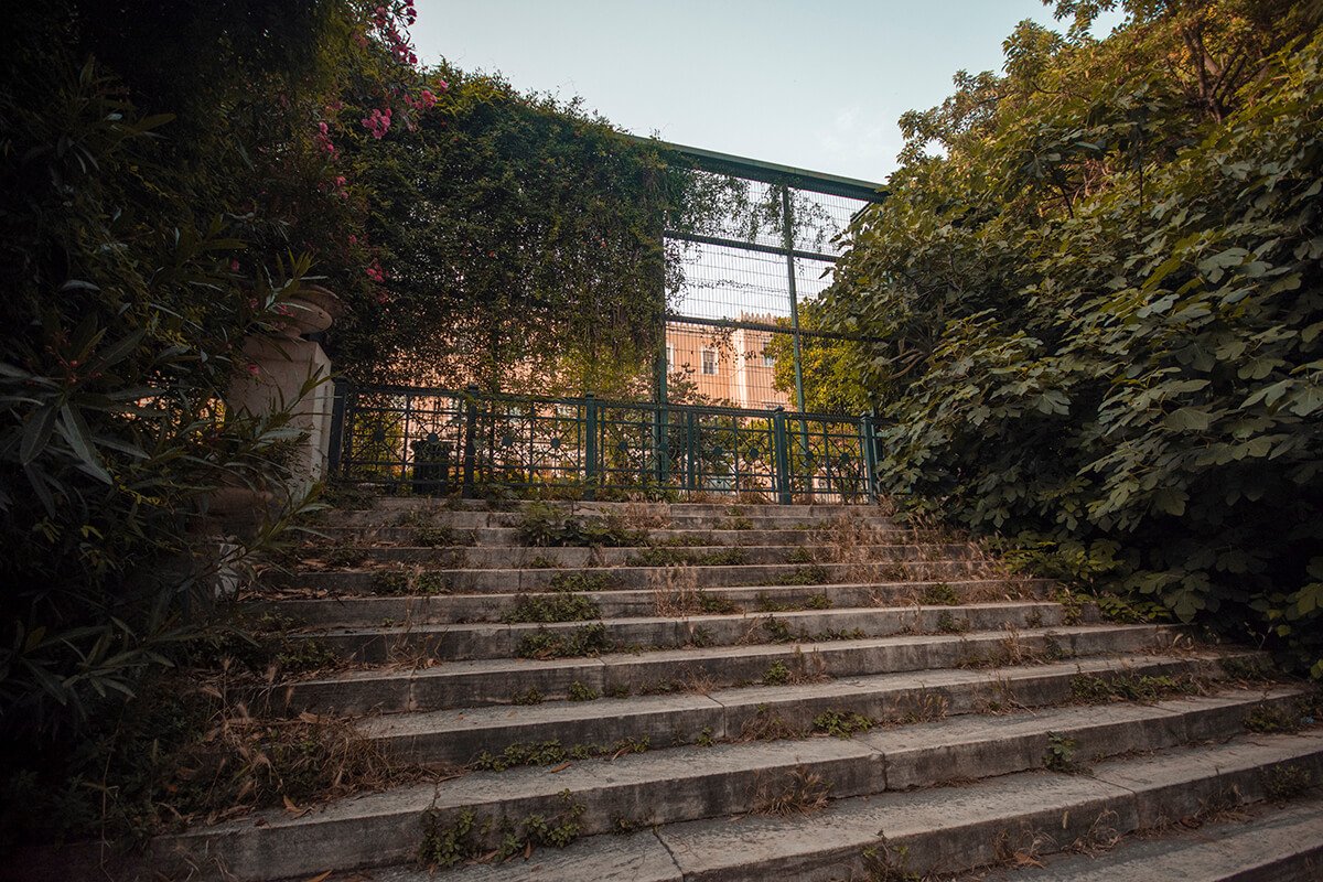 overgrown-botanical-garden-athens