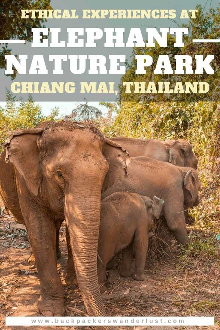 Wanting to visit an ethical elephant sanctuary in Chiang Mai? Find out everything you need to know about spending a day at the Elephant Freedom Project run through Elephant Nature Park. I will let you know all about my experience from start to finish and all the elephant encounters!