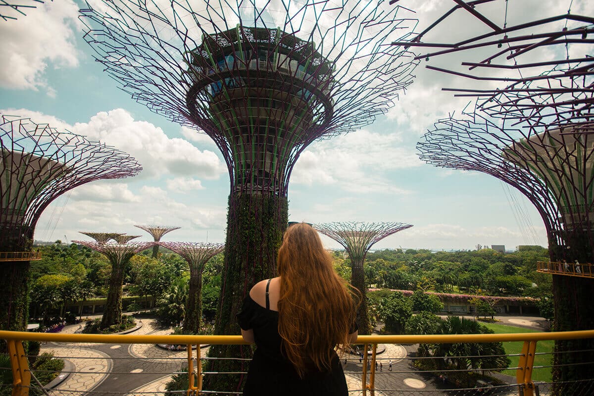 supertree grove from above gardens by the bay singapore