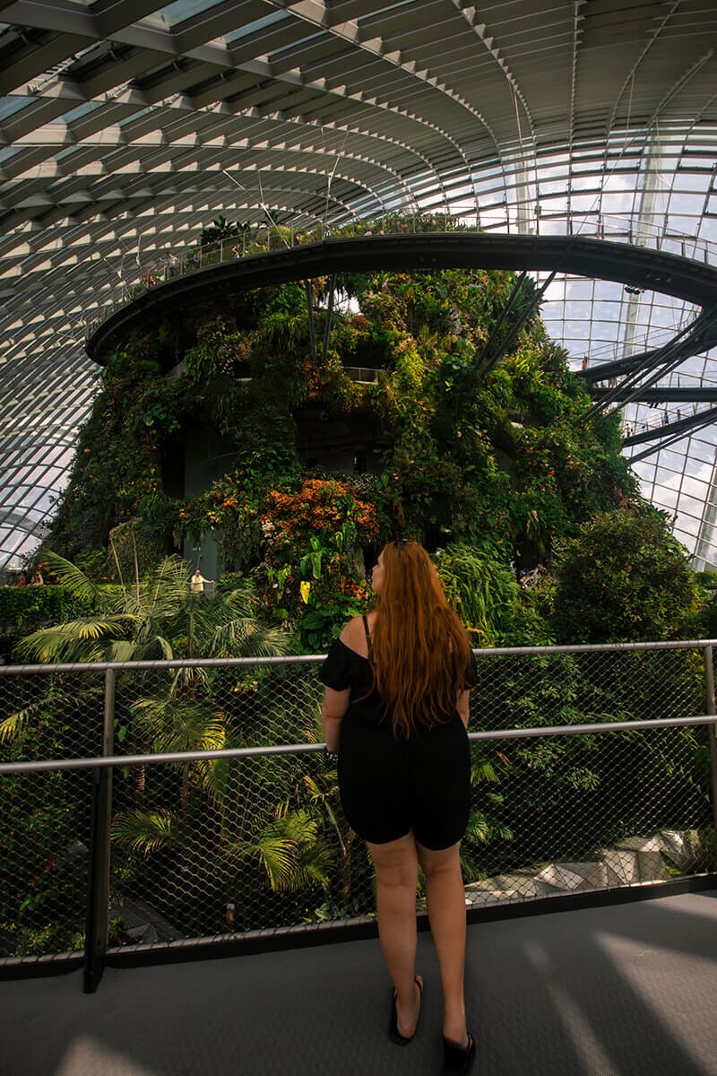 sky walk in cloud dome gardens by the bay singapore