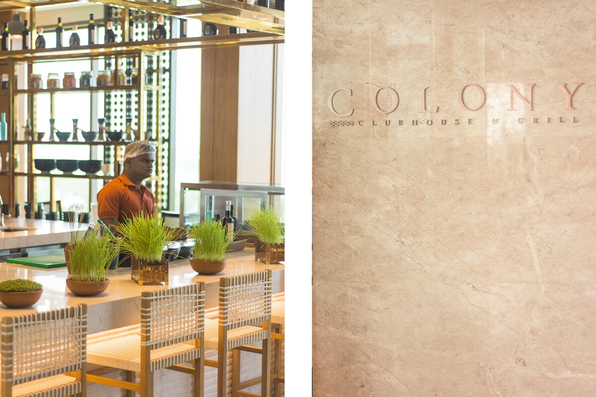 colony clubhouse and grill in the grand hyatt kochi bolgatty