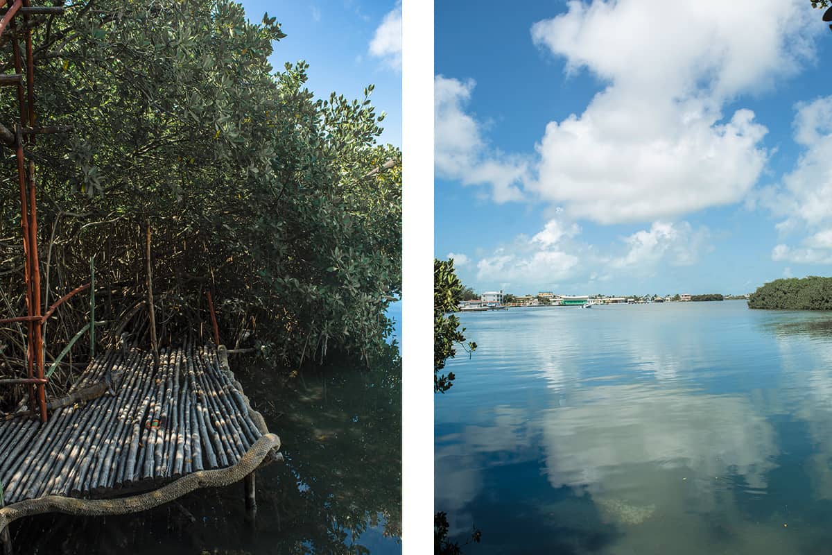 hanging out on the pier to the iguana eco sanctuary also known as the iguana eco corner foundation