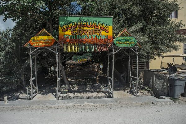 the entry way to the eco iguana sanctuary in san pedro belize