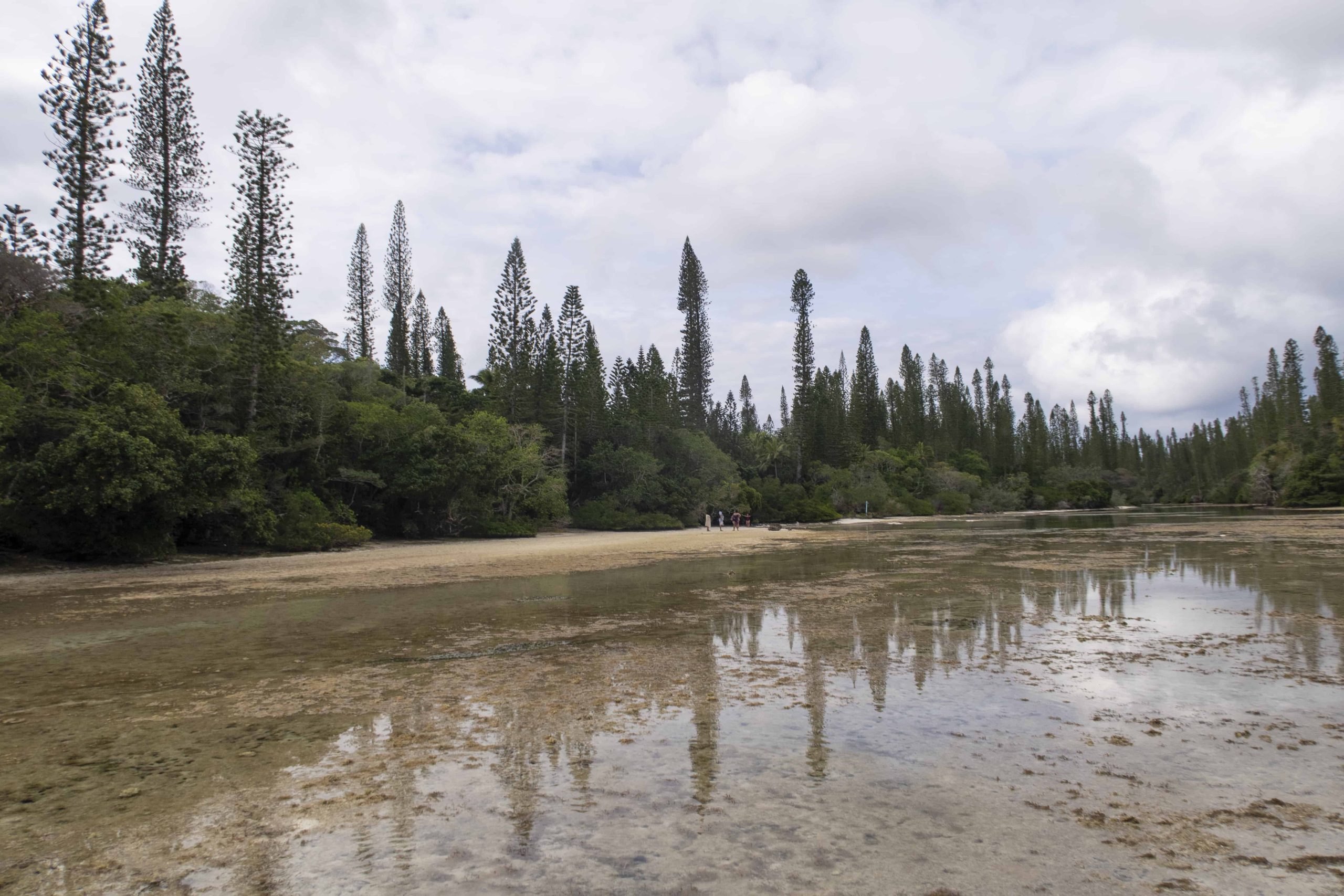 walking across the shallow river to access the isle of pines natural pool