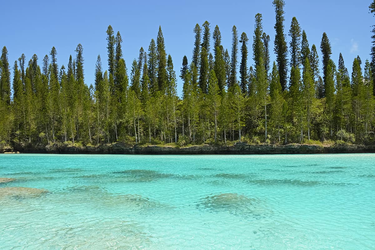 the crystal clear waters of the isle of pines natural pool