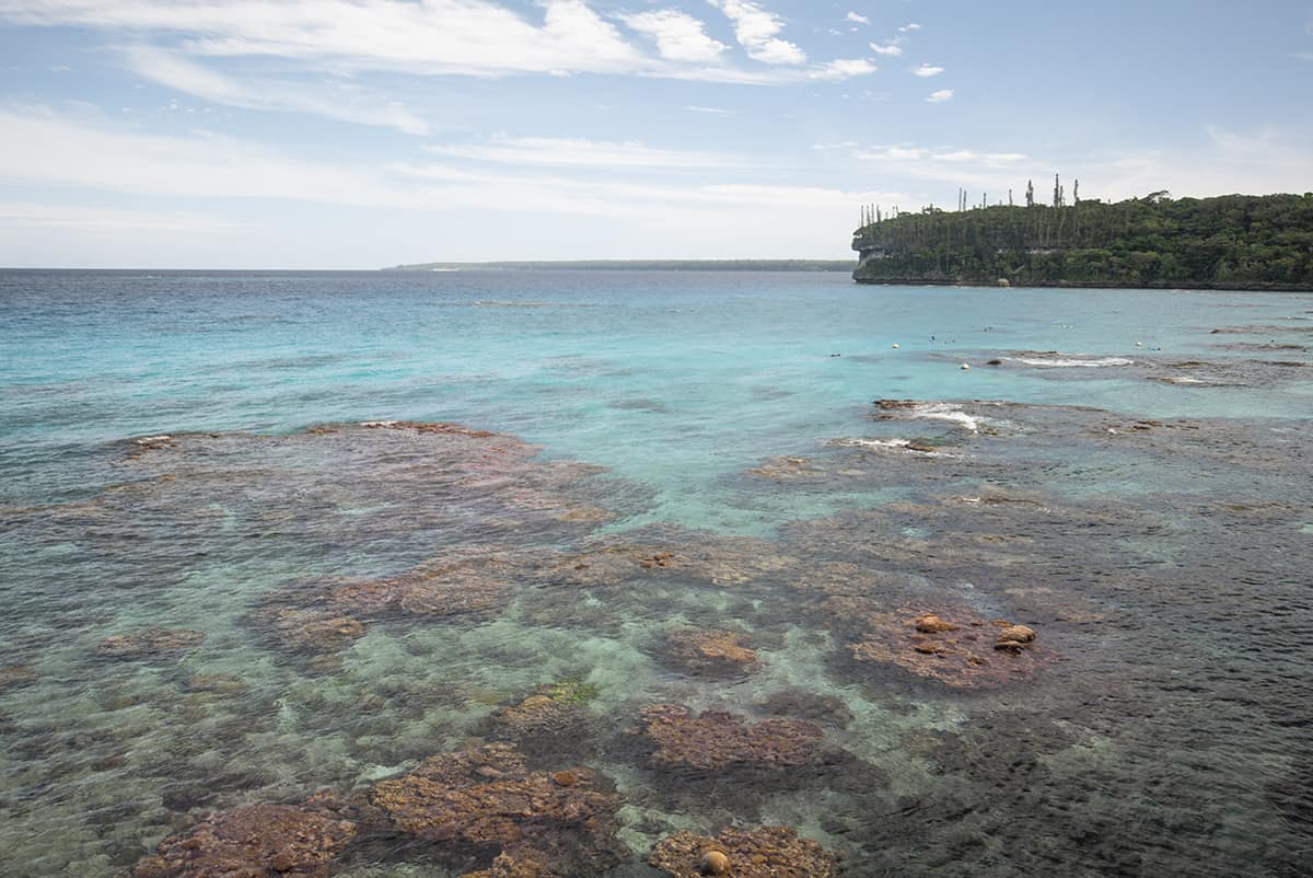 incredible colors of the corals beneath the surface at jinek bay in lifou