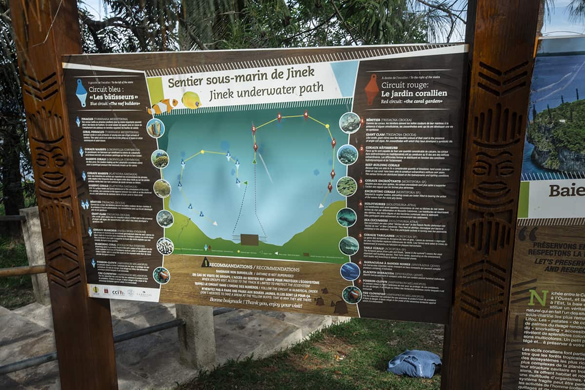 the pathways around jinek bay