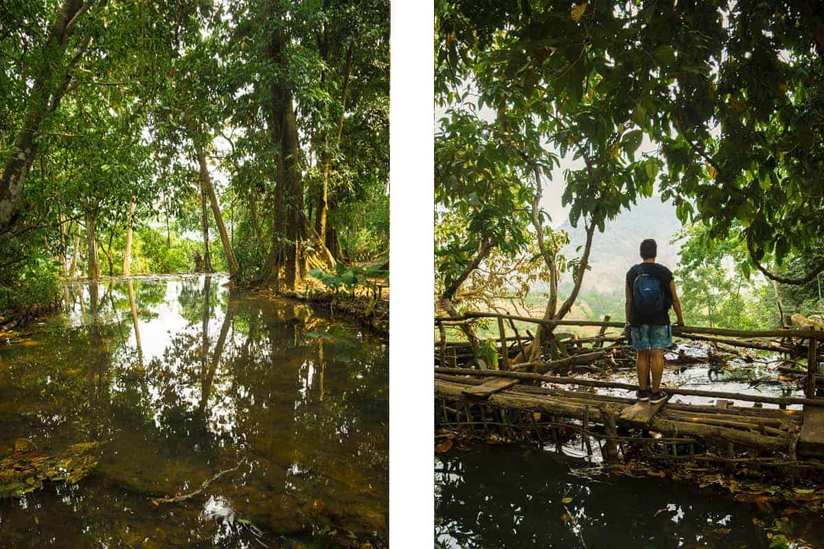 laos jungle from on top of kuang si falls