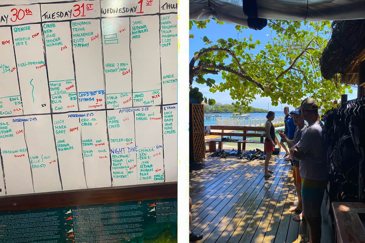our dive schedule for the week // hanging out with some of the other divers at sun divers in roatan