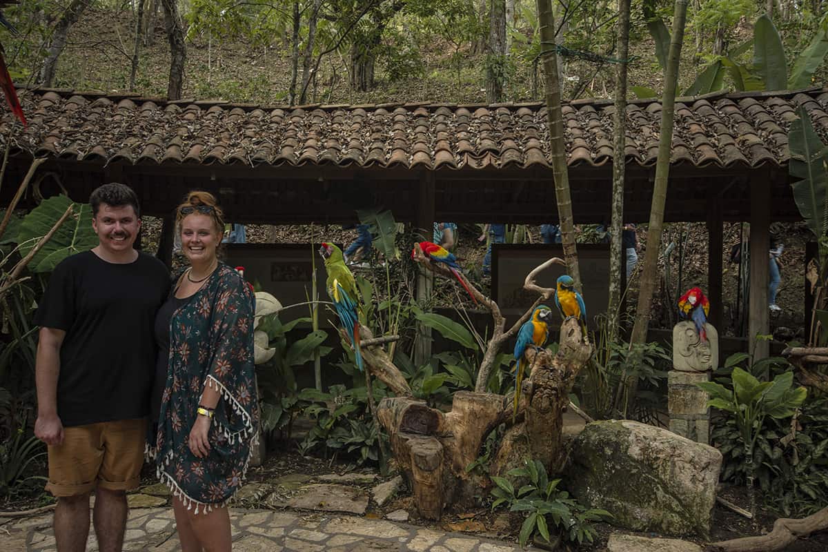 a cheeky photo surrounded by macaws, this is usually where you can touch and pet the birds, though this wasnt something we were interested in