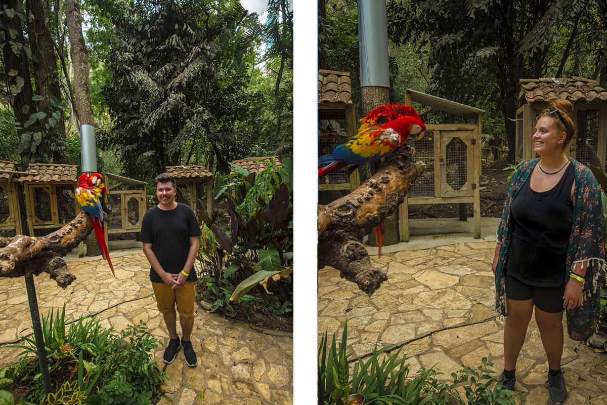 checking out the interactive area at macaw mountain