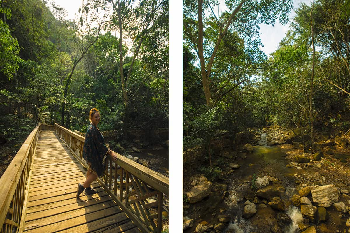 exploring the river and jungle of macaw mountain