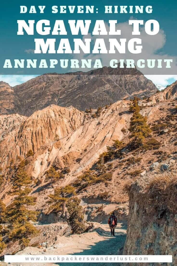 Trekking from Ngawal to Manang in Nepal on the Annapurna Circuit. Day seven will take us from Ngawal to Humde, Humde to Braka and Braka to Manang. The total journey from Ngawal to Manang consists of 15 kilometers of hiking over 7 hours and an elevation decrease of 140 meters.