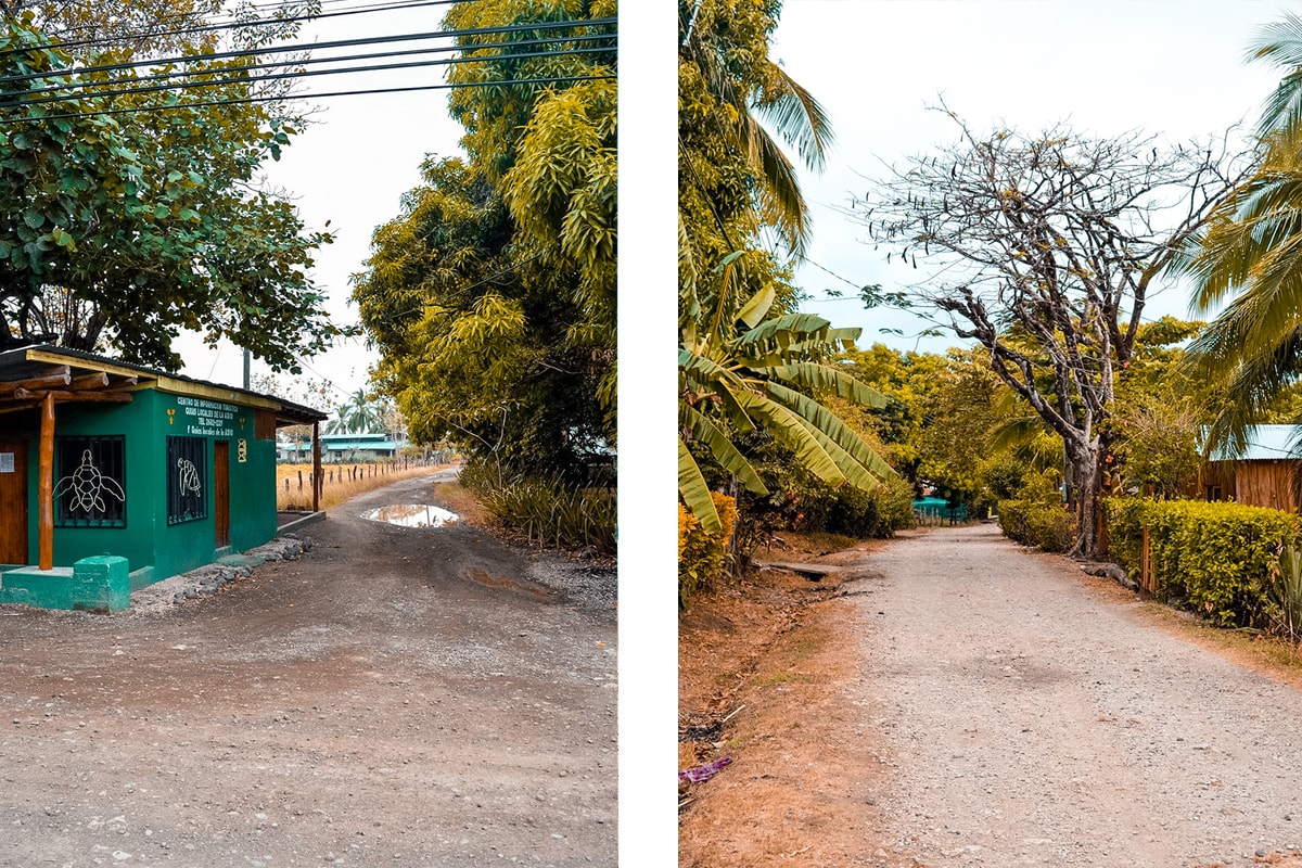 Ostional, Costa Rica | Volunteer work | Conservation | Animals | Turtles | Costa Rica | Guanacaste | Ostional | International Student Volunteers | ISV | Why should I pay | Volunteer Abroad | What to do | Backpacking | Budget Travel | Solo Female Travel | Backpackers Wanderlust |