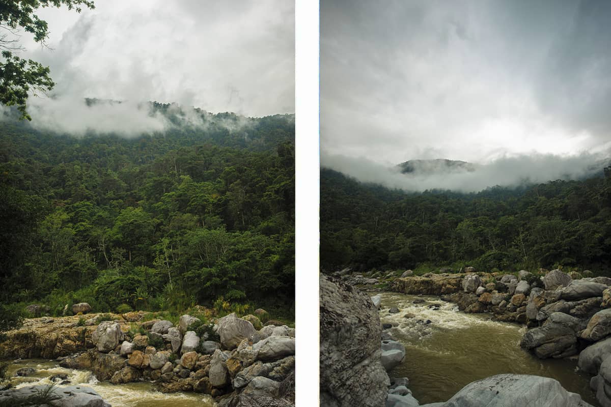 low lying cloud over the jungle and cangrejal river