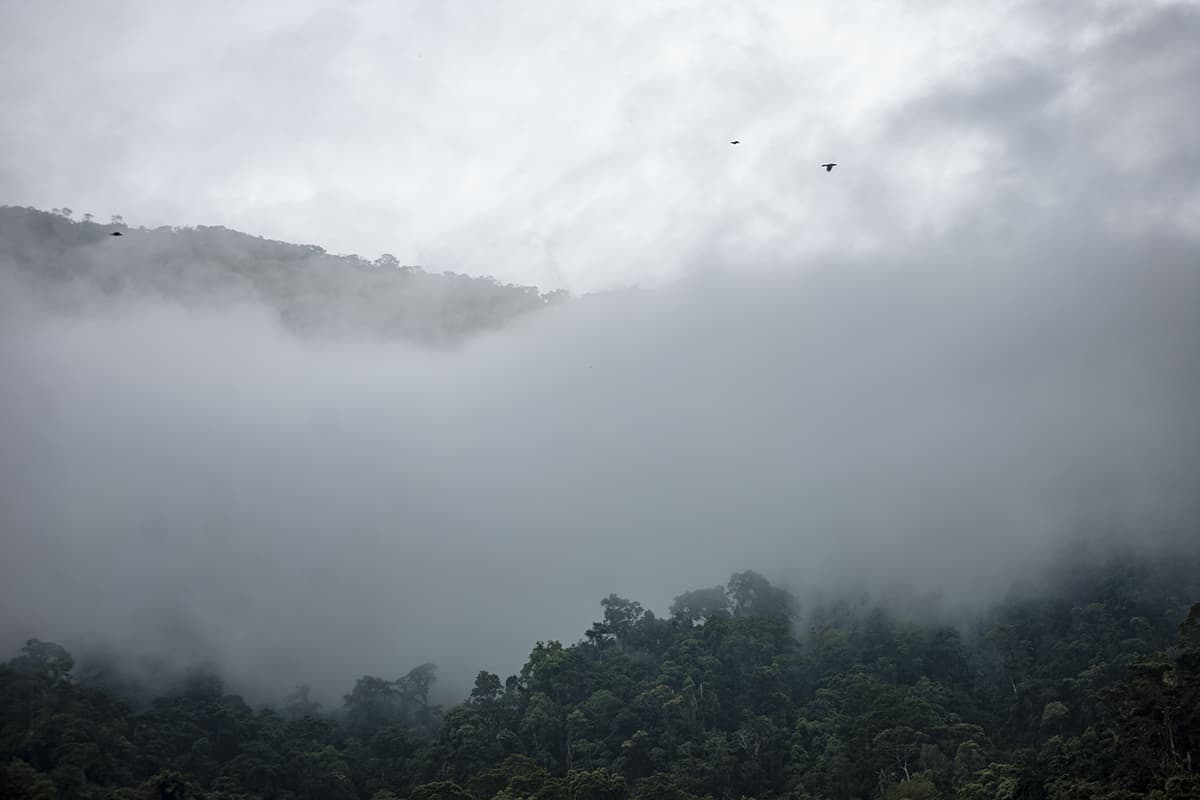 heavy cloud rolling through pico bonito national park in the wet season