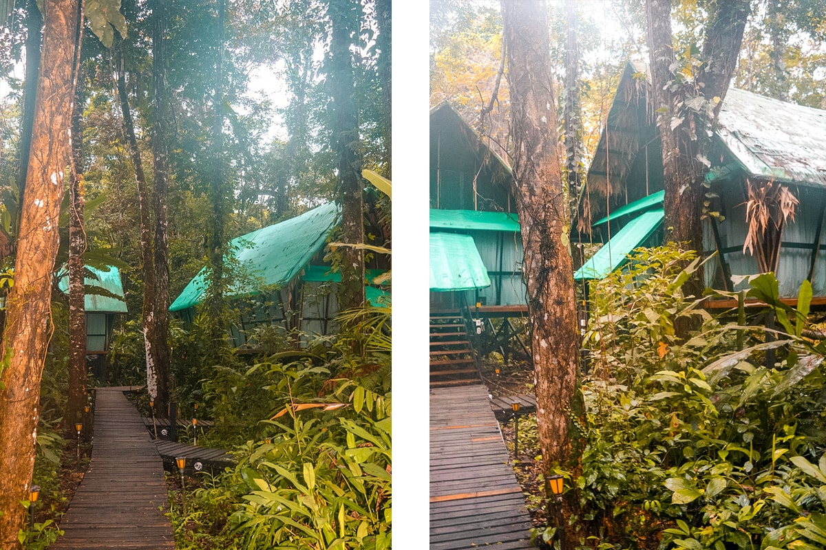 Exploring Manzanillo and Puerto Viejo In Costa Rica | Travel Central America | Caribbean | Hike | Hiking | Ocean | Rainforest | Backpacking Costa Rica | Beautiful beaches | What to do | Where to sleep | wildlife | party | Backpackers Wanderlust |