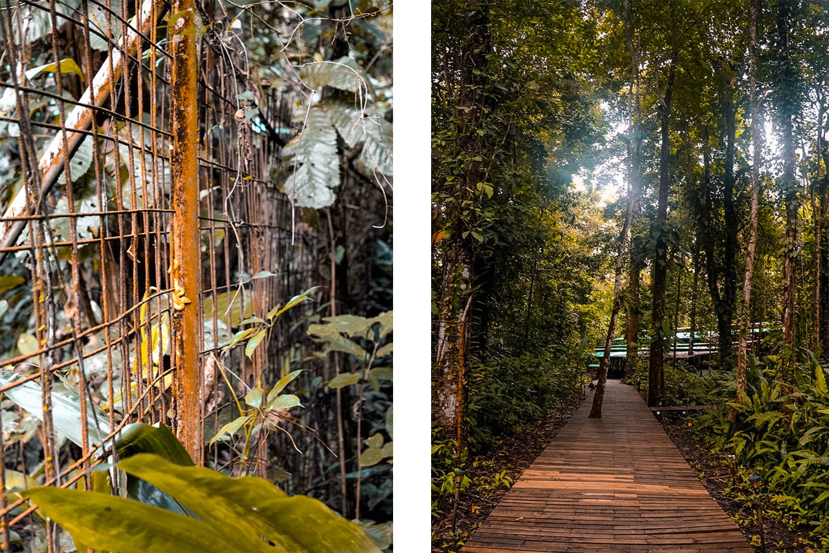 Exploring Manzanillo and Puerto Viejo In Costa Rica | Travel Central America | Caribbean | Hike | Hiking | Ocean | Rainforest | Backpacking Costa Rica | Beautiful beaches | What to do | Where to sleep | wildlife | party | Backpackers Wanderlust |