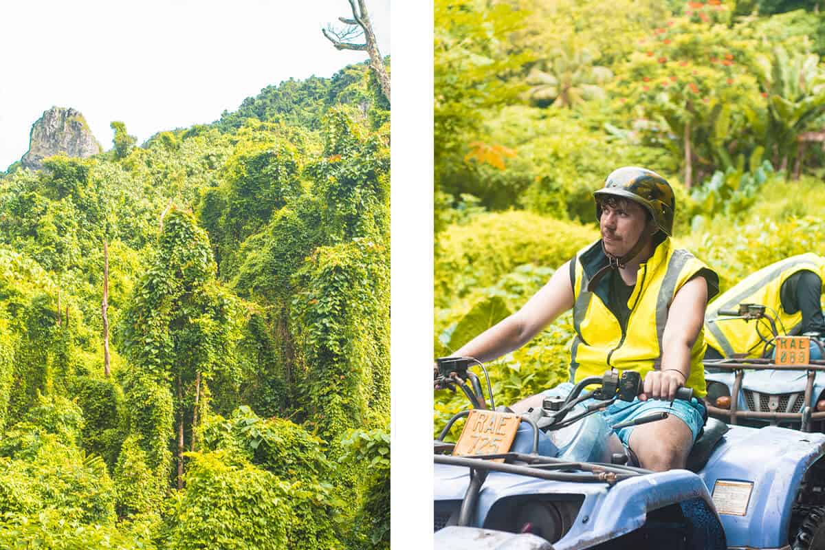 Quad Biking Rarotonga With Raro Quad Tours: Worth It? 6 exploring the jungle of rarotonga by quad bike