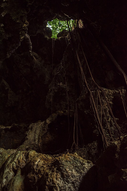 Queen Hortense's Cave In The Isle Of Pines: BEST Tips 2025 10 Queen Hortense's Cave on the Isle of Pines is a mesmerizing sight, featuring a remarkable tree growing out of the cave.