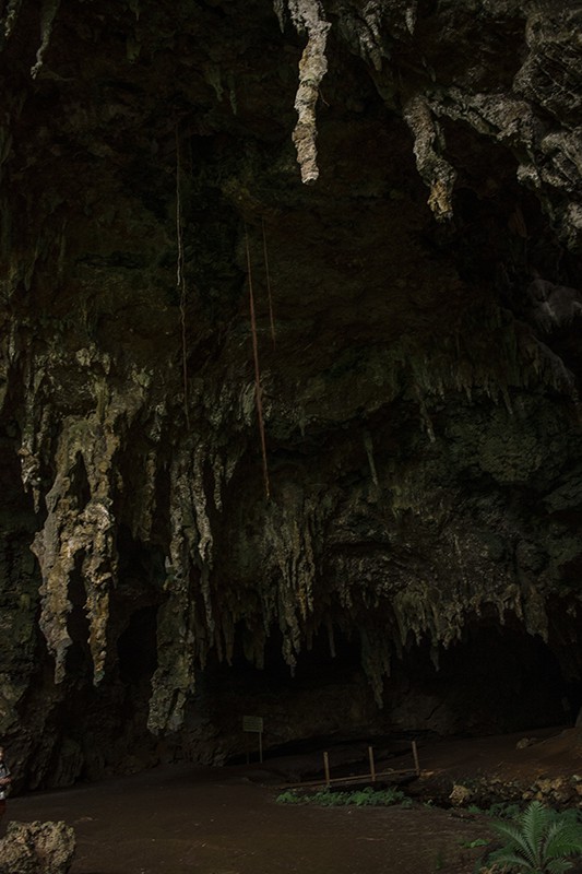 Queen Hortense's Cave In The Isle Of Pines: BEST Tips 2025 17 A man is standing in front of Queen Hortense's Cave on the Isle of Pines, surrounded by stalactites and stalagmites.