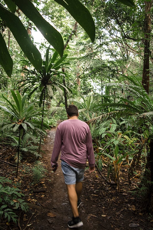 Queen Hortense's Cave In The Isle Of Pines: BEST Tips 2025 14 A man walking down a trail in the jungle, exploring the breathtaking Isle Of Pines and making his way towards Queen Hortense’s Cave.