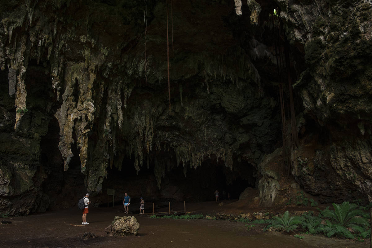 the entry way of queen hortense's cave in the isle of pines