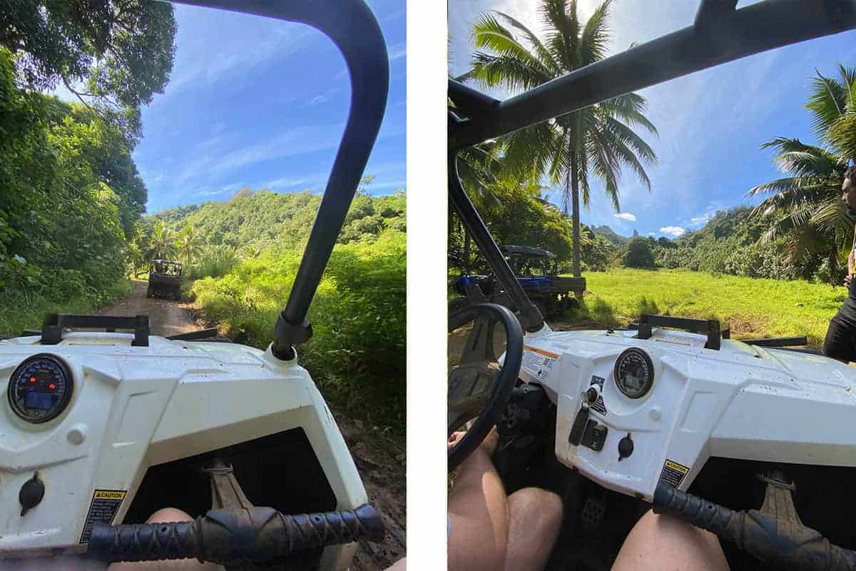 view of the needle with raro buggy tours in inland rarotonga