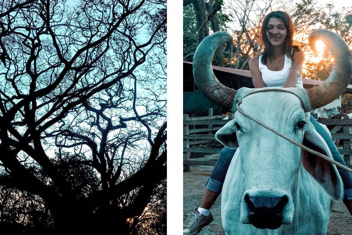 Exploring Ricon De La Vieja In Costa Rica | Travel Central America | Guanacaste | Hike | Hiking | Volcano | Rainforest | Backpacking Costa Rica | Mud bath | What to do | Where to sleep | Horse riding | Tubing | Backpackers Wanderlust |