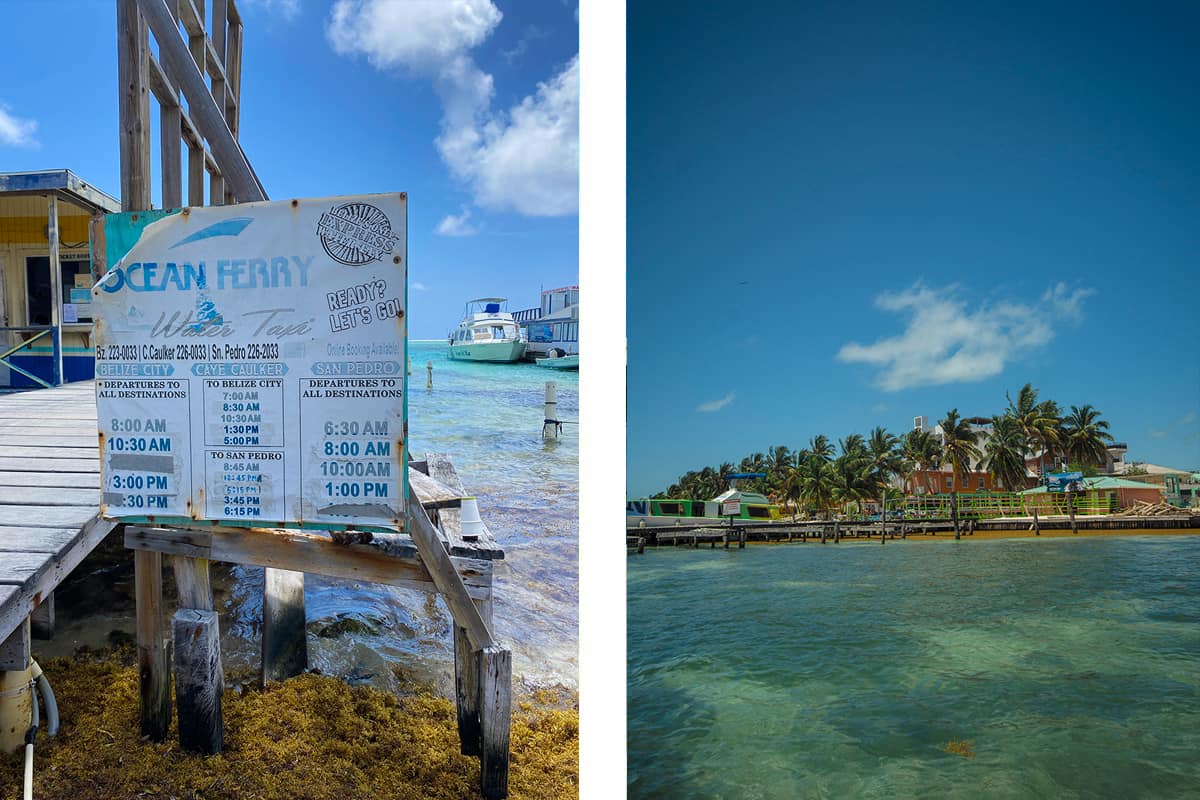 San Pedro To Caye Caulker: Best Ways To Travel Explained 2025 6 the timetable for ocean ferry water taxi // arriving in caye caulker from san pedro