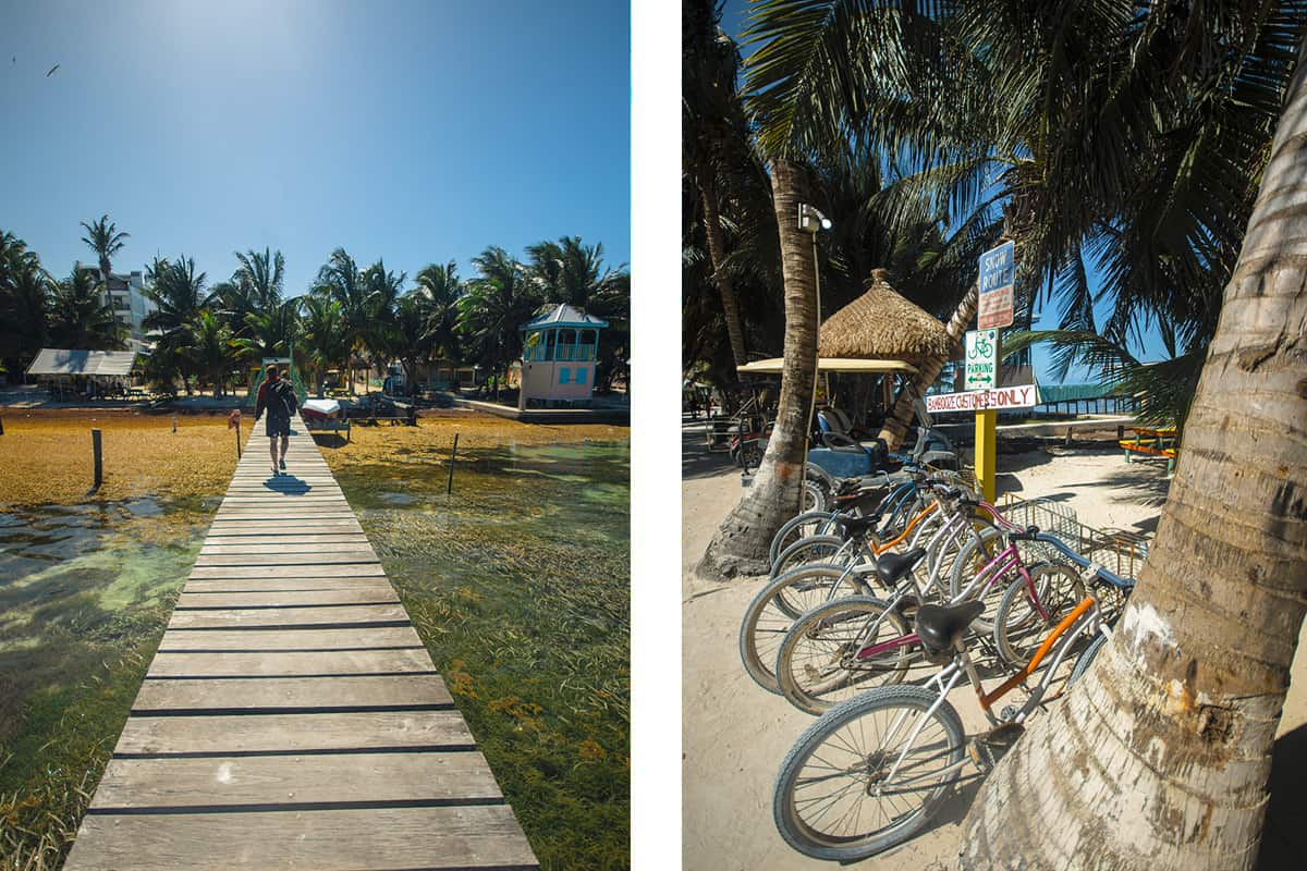 San Pedro To Caye Caulker: Best Ways To Travel Explained 2025 8 walking down the pier in caye caulker // bikes lined up along the street