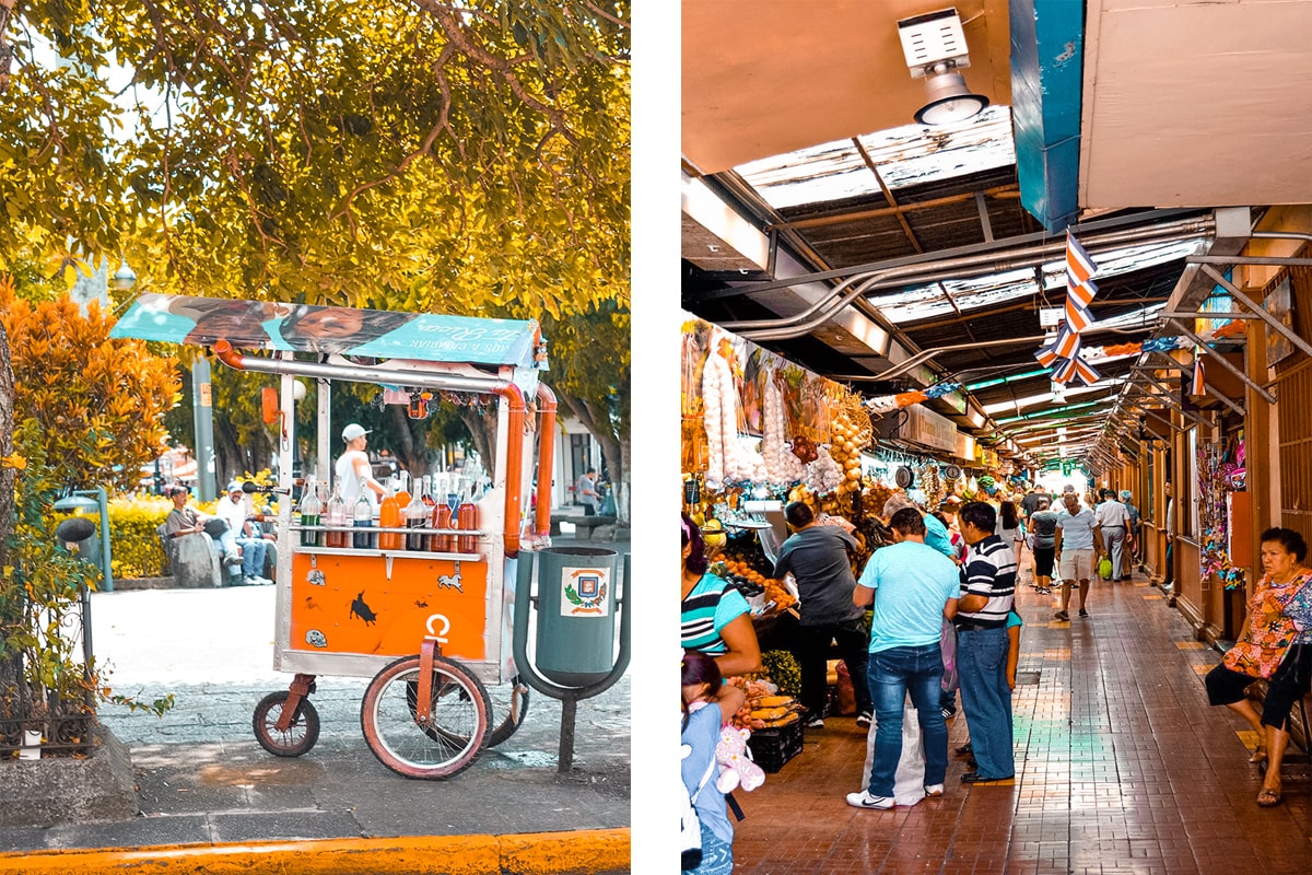 Studing in Heredia, Costa Rica | Travel Central America | Learn Spanish | Hike | Hiking | Intercultura | Rainforest | Backpacking Costa Rica | San Jose | What to do | Where to sleep | Heredia | studying abroad | Backpackers Wanderlust |