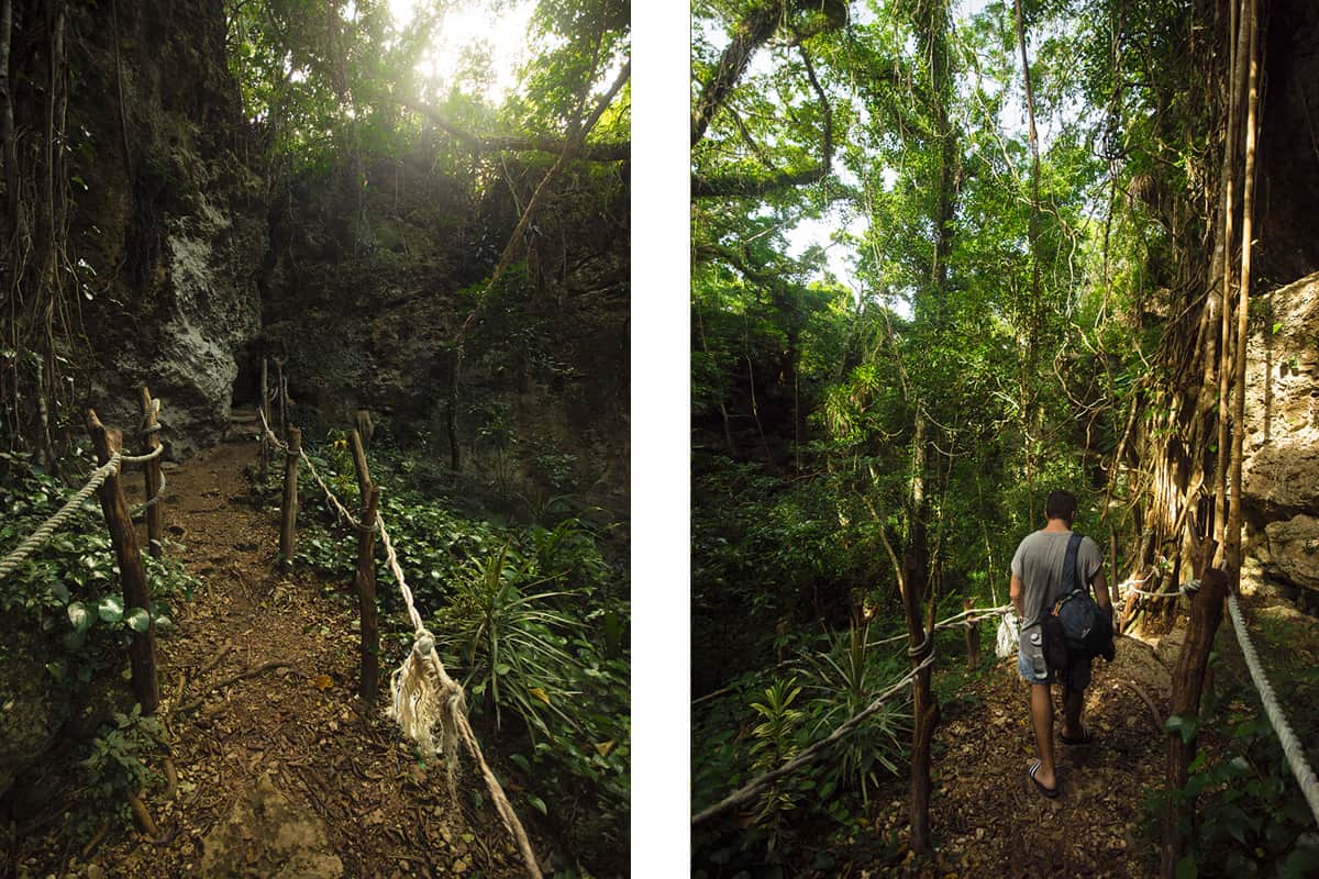 The Secret Grotto In Lifou: All You NEED To Know 2025 6 the hiking path lined with rope to mark the way