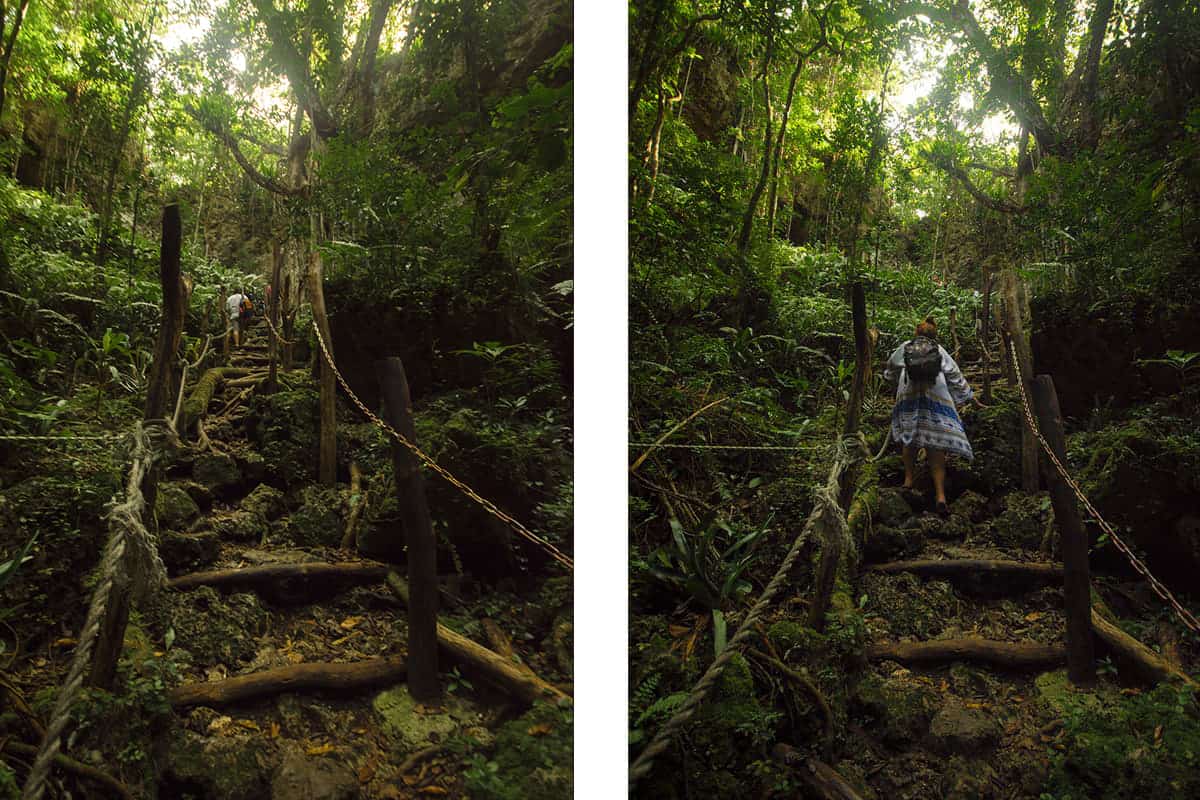 The Secret Grotto In Lifou: All You NEED To Know 2025 14 some of the steep jungle stairs you will need to hike up and down to get to the secret grotto