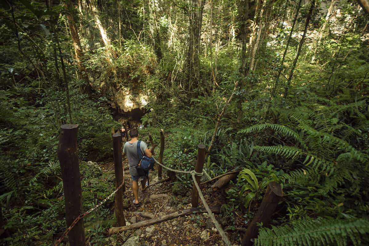 The Secret Grotto In Lifou: All You NEED To Know 2025 9 hiking down the stairs to the entry of the cave