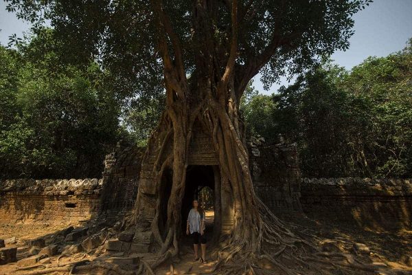 checking out the temples in angkor archeological park on the 4 days in siem reap itinerary