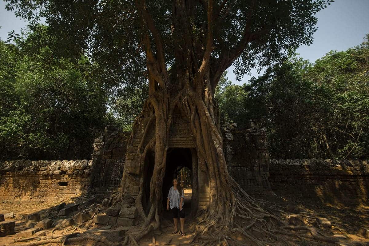 checking out the temples in angkor archeological park on the 4 days in siem reap itinerary
