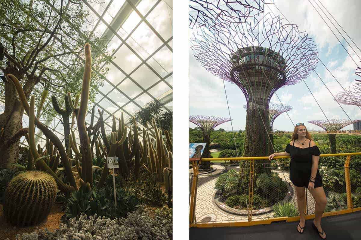 Backpacking Singapore On A Budget: Best Travel Tips 7 exploring inside the flower dome gardens by the bay