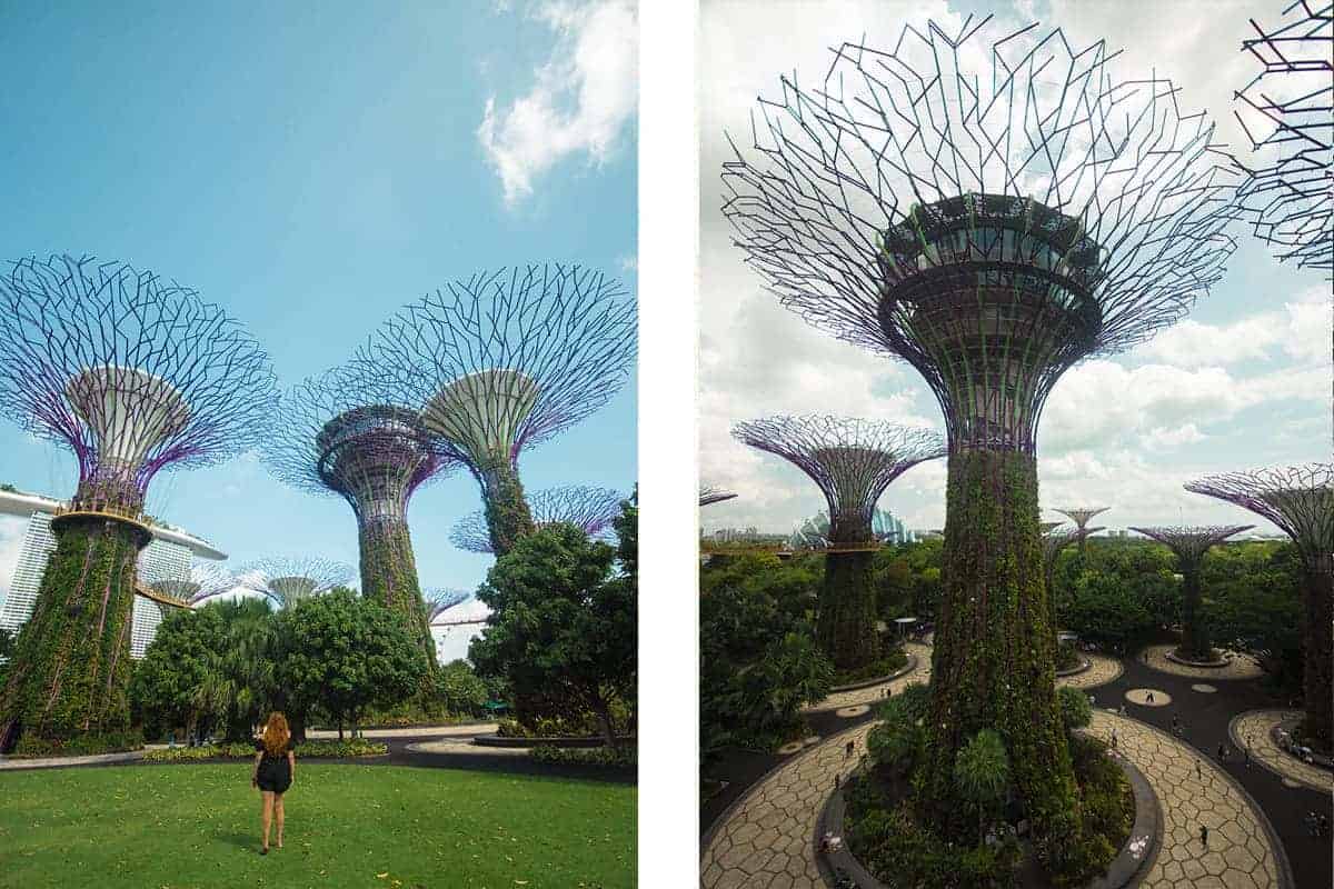 Backpacking Singapore On A Budget: Best Travel Tips 2 the trees at the gardens by the bay singapore